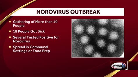 norovirus outbreak nyc